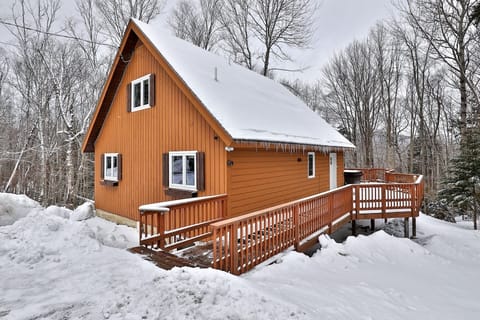 The steep roofline and wraparound deck stand out against the snowy woods.