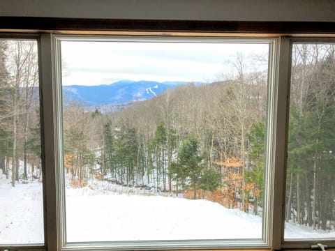 Winter view from Master