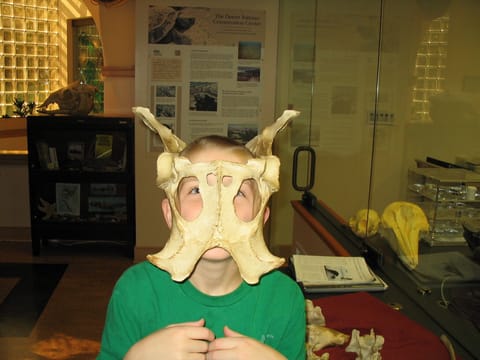 National Zoo 1 mi.  - Cool hands-on (heads on?) lab in Amazonia Hall.