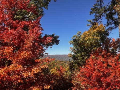 View from back deck in fall. Taken October 2022.