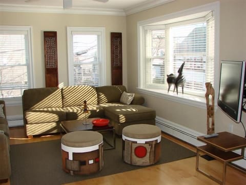 Sun filled living room