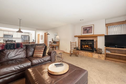 Wood Fireplace & Fireplace