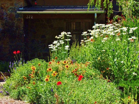 Master Gardener's Oasis