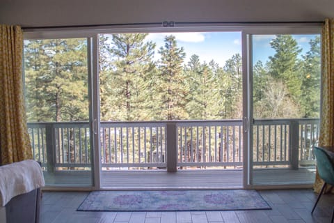 16 foot sliding glass door with views of the mountains off to the left!