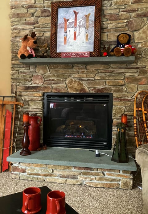 Living room/ Fireplace 