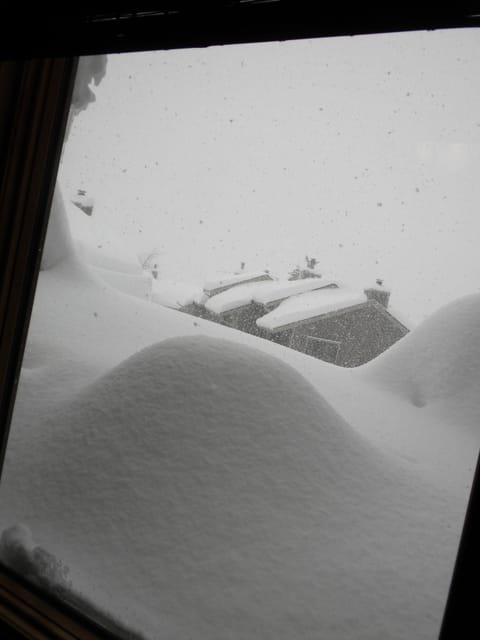 Snowed In 7 Feet High! 2010