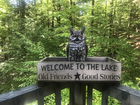 Animals rule in the Adirondacks!