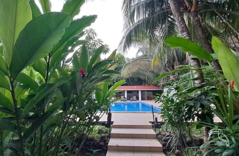 Outdoor pool, open 8:00 AM to 8:30 AM, sun loungers