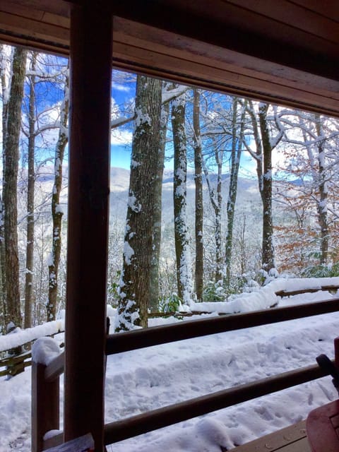 Picture window view👍