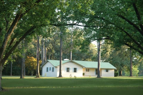 The Guest House as seen through the 100 year-old Pecan Orchard.