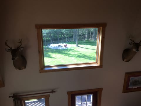 View of the backyard and GORGEOUS Sturgeon River through the big picture window.