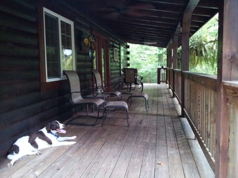 Big Rock Log Cabin front porch, and Chicket