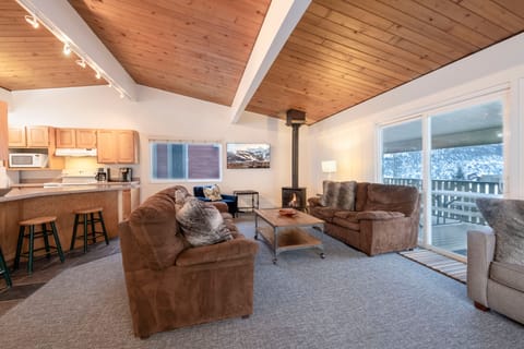 Living room, TV, Fireplace, sliding door to covered deck
