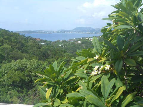 view west from South bedroom