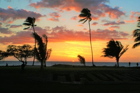 A favorite evening ritual: 
Watch the sunset from the Maui Sunset grounds.