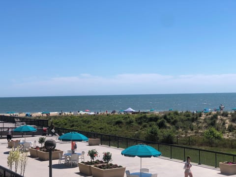 Magnificent view of the ocean maybe even see a dolphin