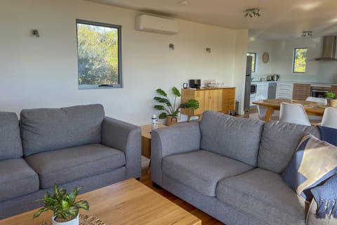 Comfortable modern couches in living room