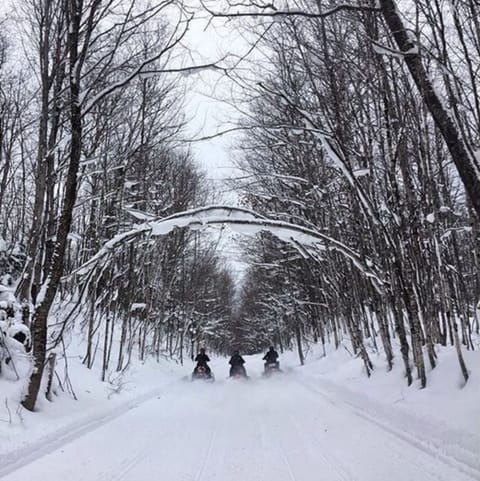 trail 99 connects you to hundreds of miles of groomed trails in Northern MI