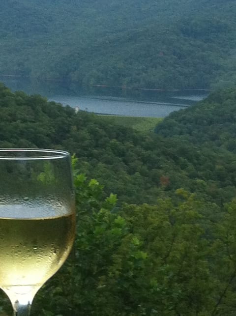 view from the deck off the kitchen