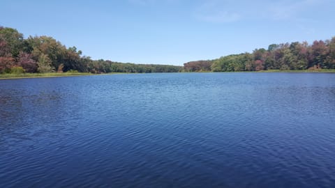 A view of the Moira river from the canoe.