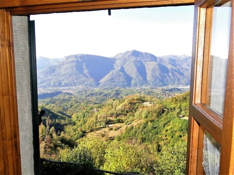 Room with a view....