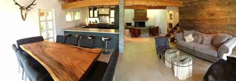 Living Room / Dining Room / Kitchen / Fireplace