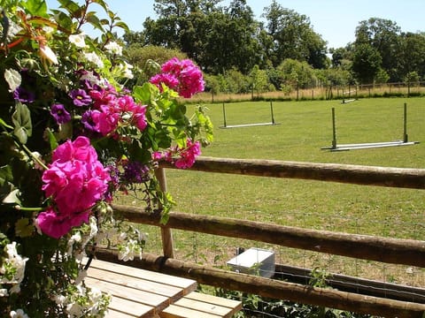 View over adjoining fields 