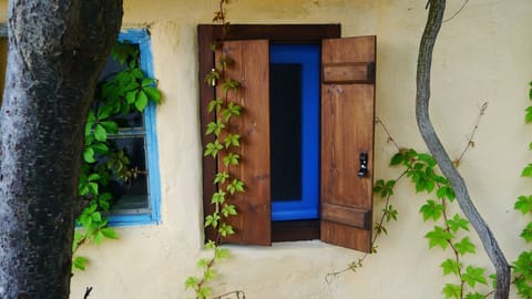 Little window