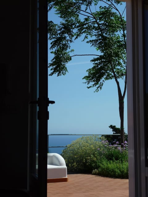 Looking out of lounge doors onto terrace