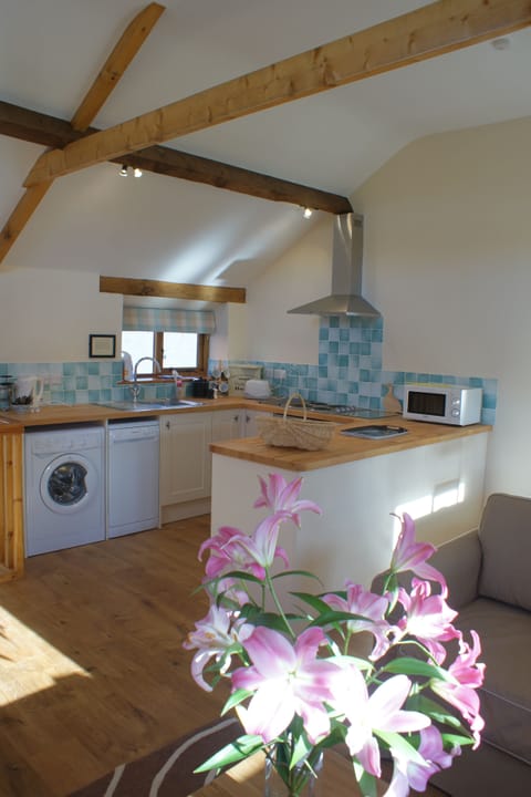 The Mill first floor kitchen/living area