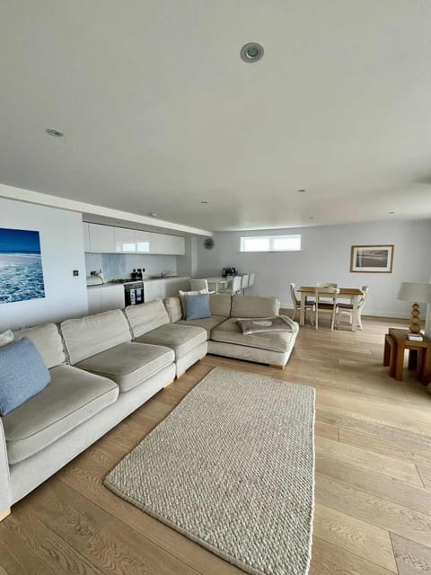 The sleek, comfortable kitchen/living area