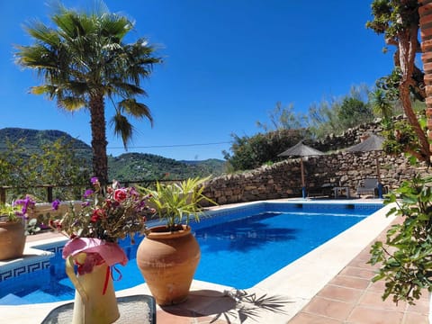 Beautiful pool approx 8x4. Roman steps for easy access.
