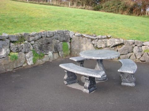 Table and Seating rear of house