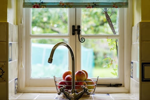 Apples fresh from Our Tree