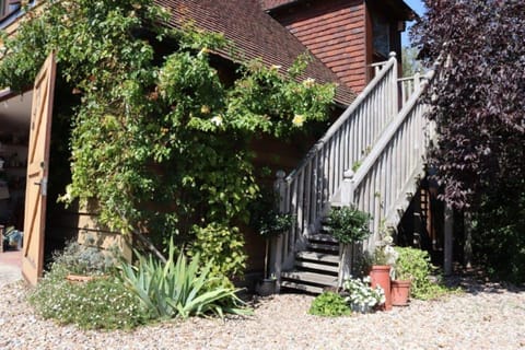 The Shed stairs