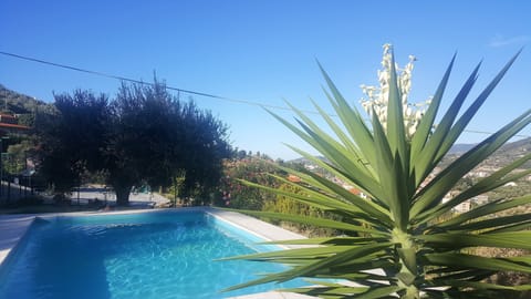 Villa Lazzarini  Imperia pool zone