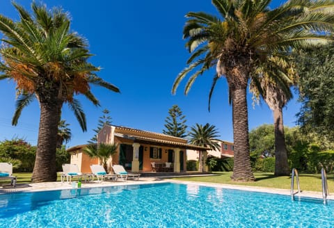 Sparkling pool %26amp%3B swaying palms