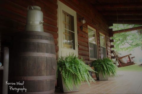 There is nothing like sitting on the porch and watching the wildlife 