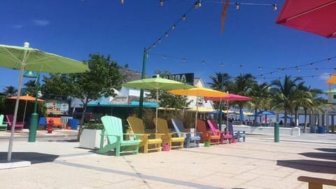 Take a stroll down our bright, bold and beautiful city and make new friends!