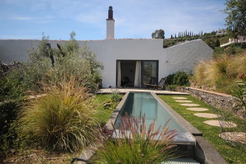 May 2019
The plunge pool 