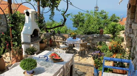 Large wine-covered terrace with sea view