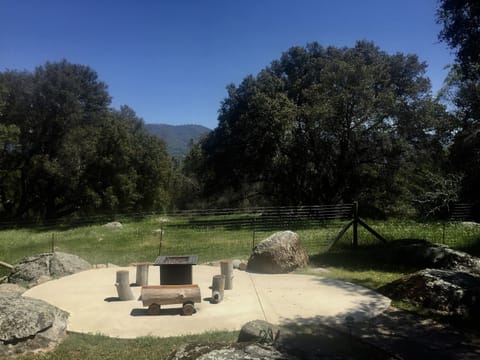 Propane fire pit with mountain & meadow views