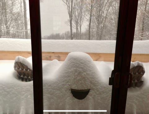 Back Deck during the winter