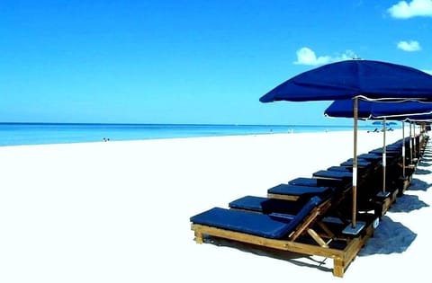 Beach Chair and Umbrella Service