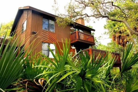 Photo from the backyard.