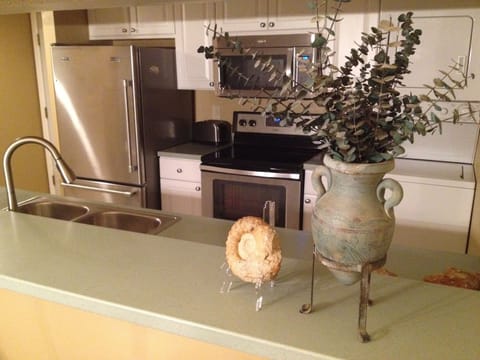 Stainless kitchen appliances 