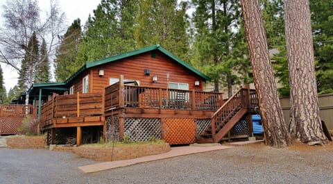Cabin 5