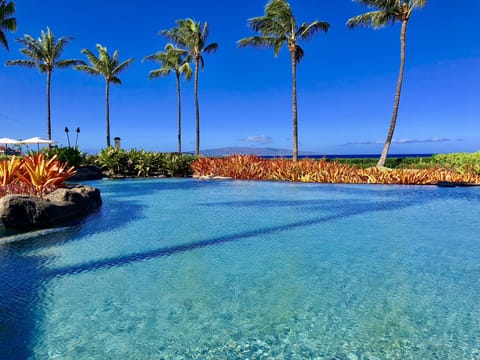The Serene Natural Adult Quiet Oceanside Pool & Spa at The Beach Villas