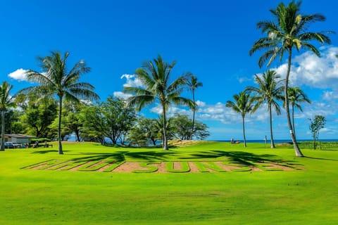 Maui Sunset B103 is a tropical, well maintained beachfront complex. Book us now.