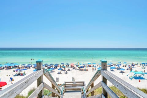 Florida's White Sand